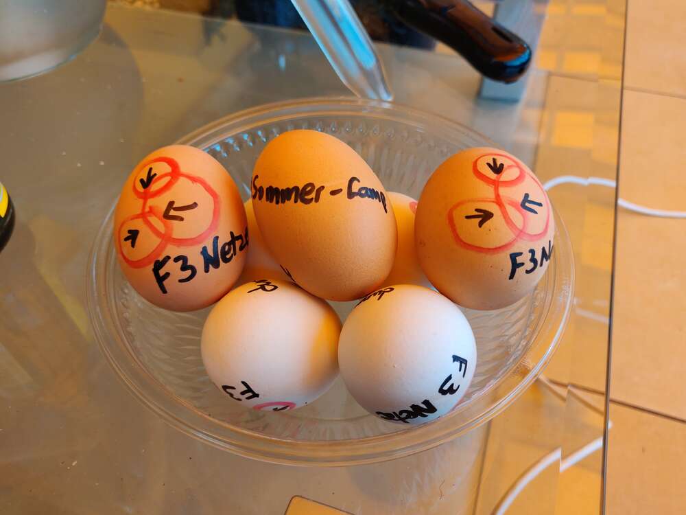 F3 Netze Eier